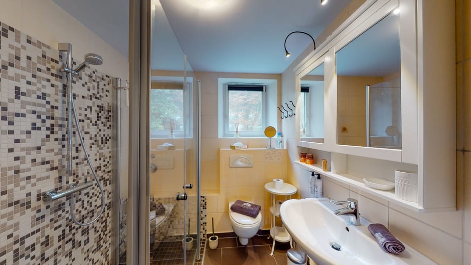 Deluxe Suite | Bathroom | Shower, eco-friendly toiletries, hair dryer, slippers