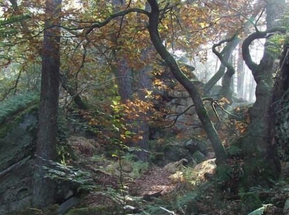 Pension Linstant Bed and Breakfast in Grand Est