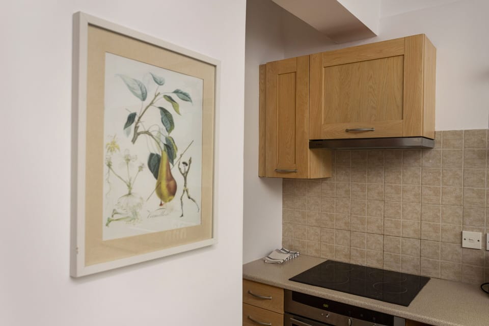 Comfort Apartment | Private kitchen | Full-size fridge, microwave, oven, stovetop