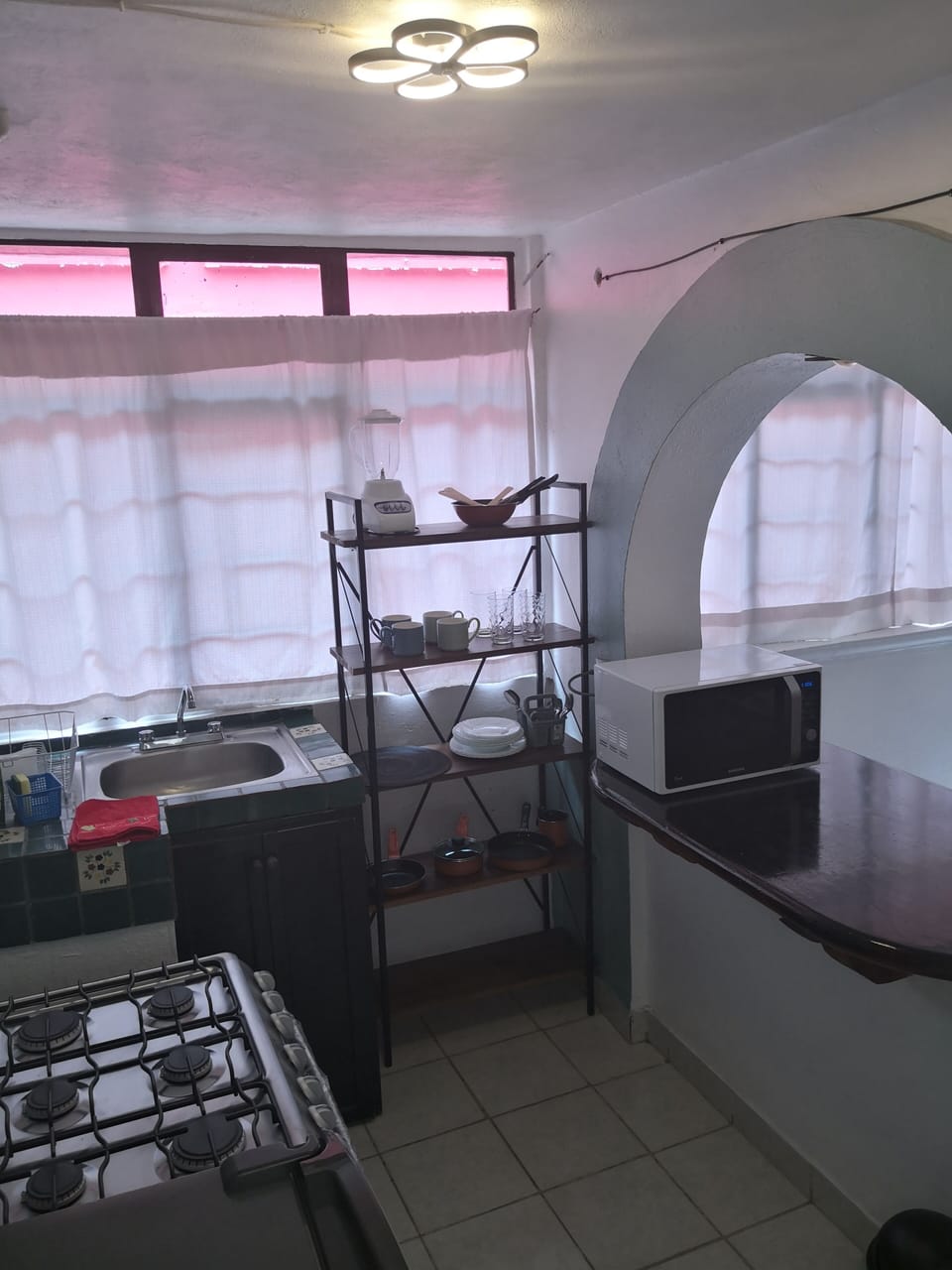 Business Apartment | Private kitchen | Microwave, oven, blender, cookware/dishes/utensils