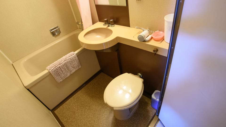 Combined shower/tub, hair dryer, towels