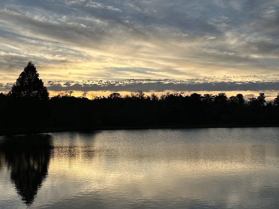 Land view from property