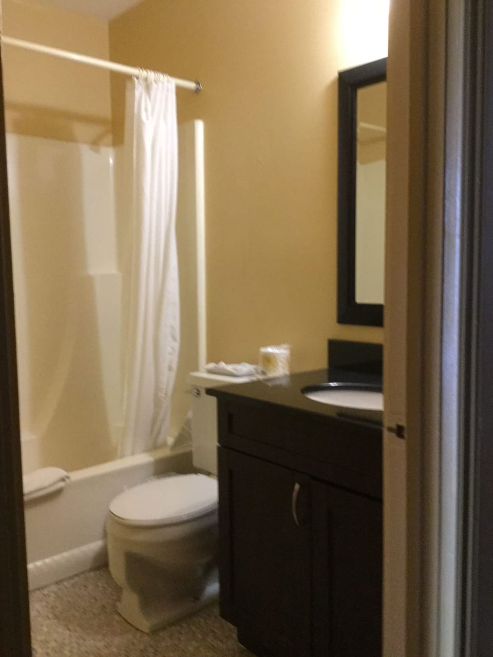 Combined shower/tub, free toiletries, hair dryer, towels
