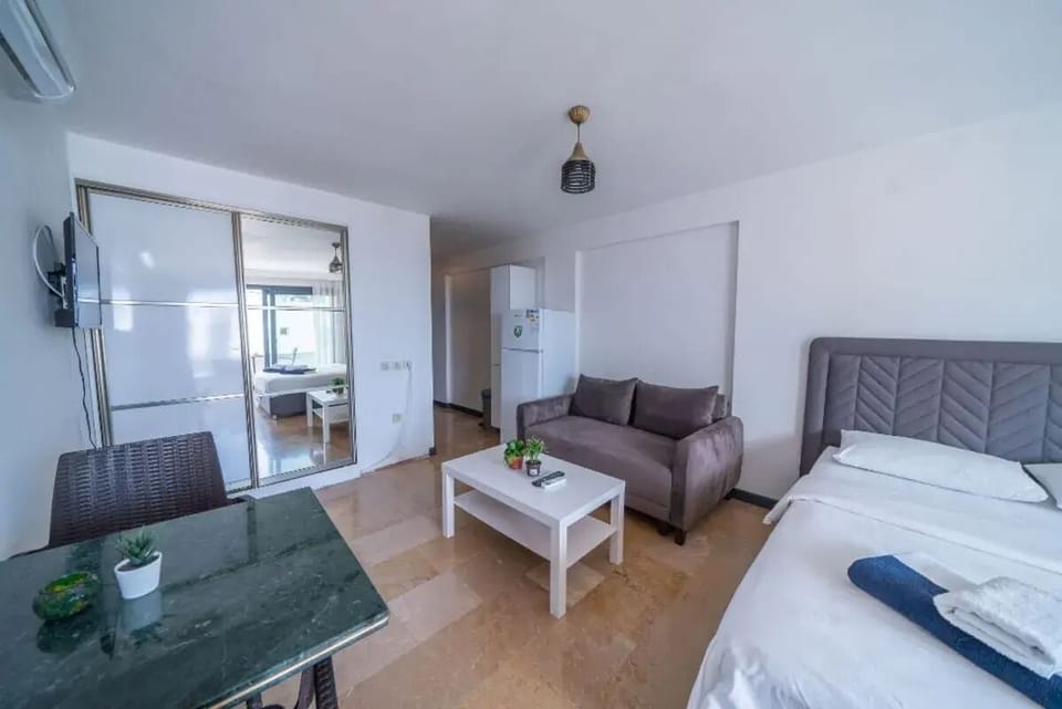 Deluxe Studio | Living area | 32-inch TV with satellite channels