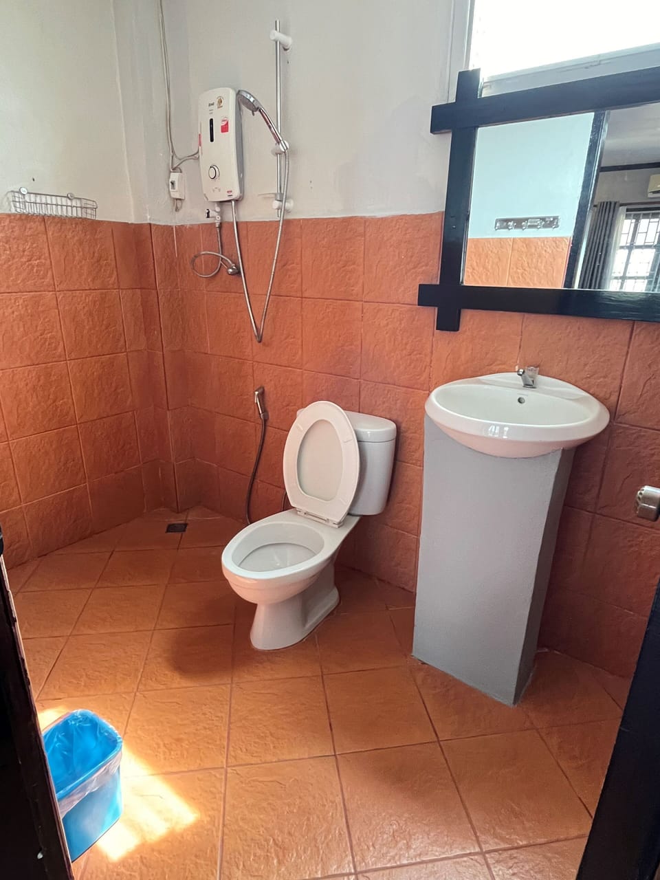 Free toiletries, hair dryer, bidet