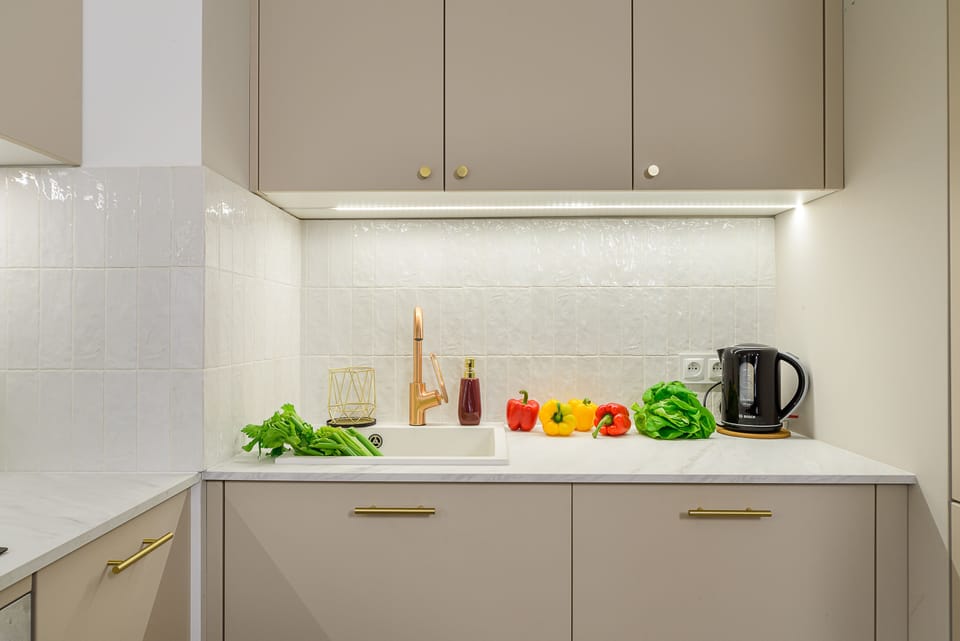 Full-size fridge, oven, stovetop, electric kettle