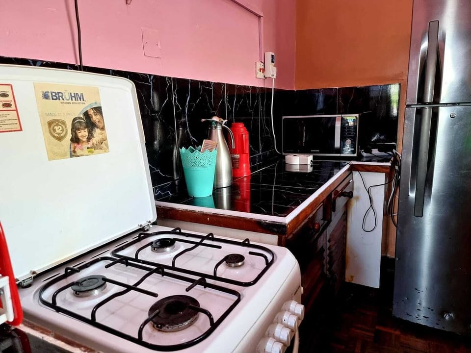 Deluxe Apartment | Private kitchen | Fridge, microwave, cookware/dishes/utensils