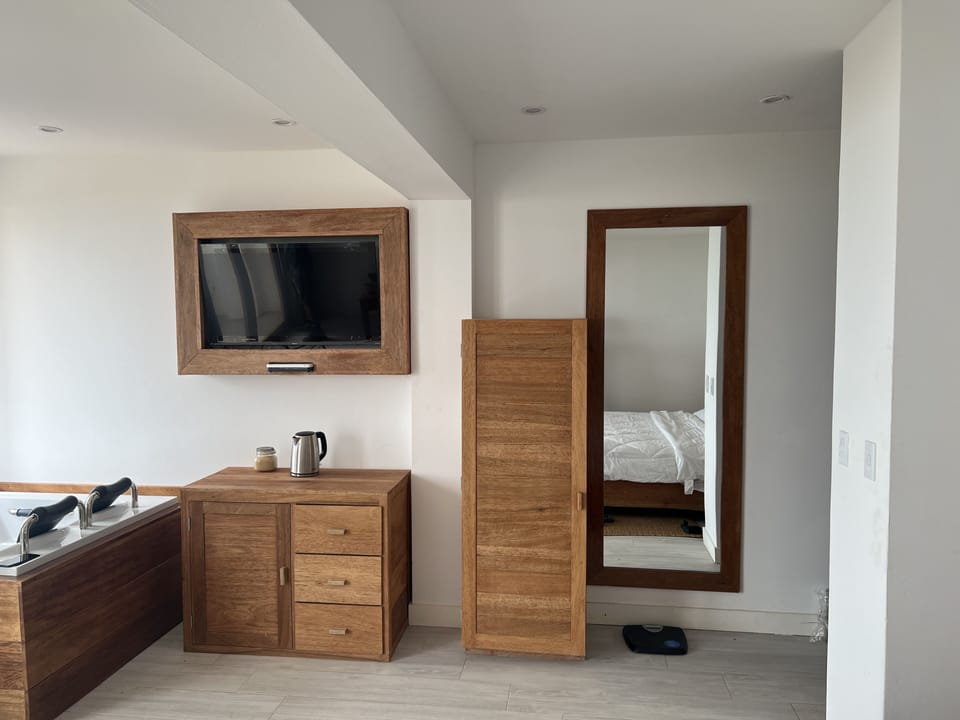 Deluxe Double Room Single Use, 1 King Bed, Beach View | Hypo-allergenic bedding available, minibar, desk, laptop workspace