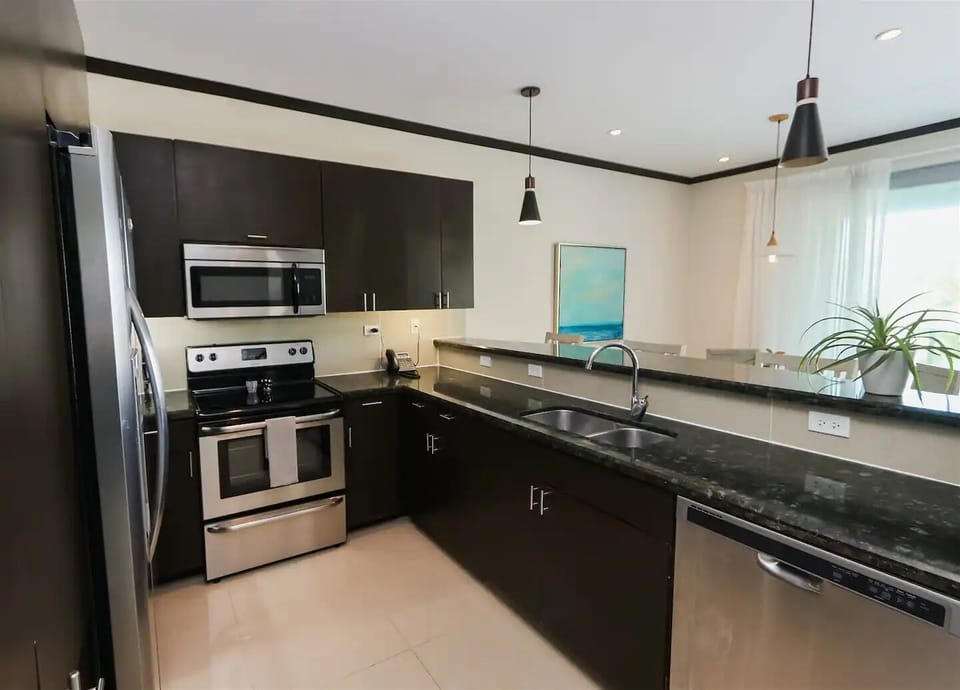 Luxury Apartment | Private kitchen | Full-size fridge, microwave, oven, stovetop