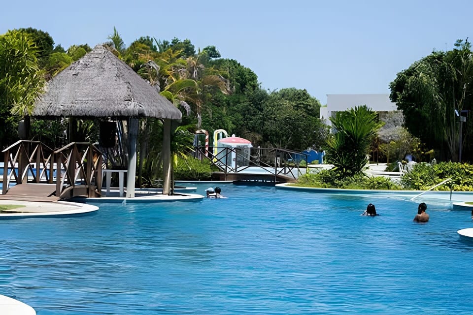 Standard Apartment | Pool | Outdoor pool