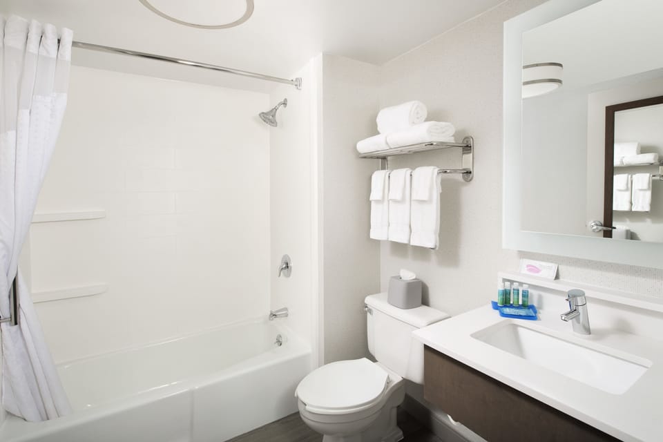 Hair dryer, towels, soap, shampoo