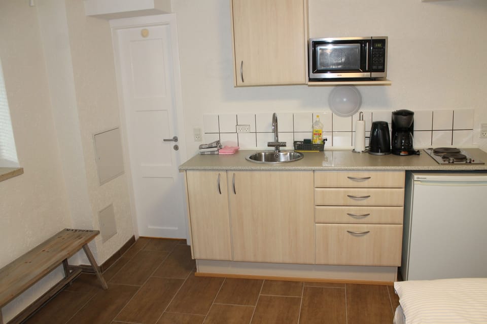 Premium Studio, Private Bathroom | Private kitchen | Fridge, microwave, oven, stovetop