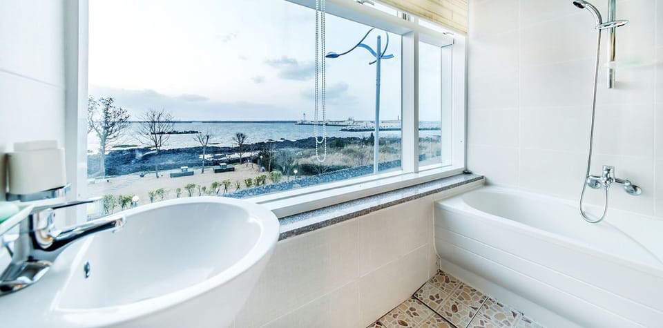 Shower, hair dryer, bidet, towels