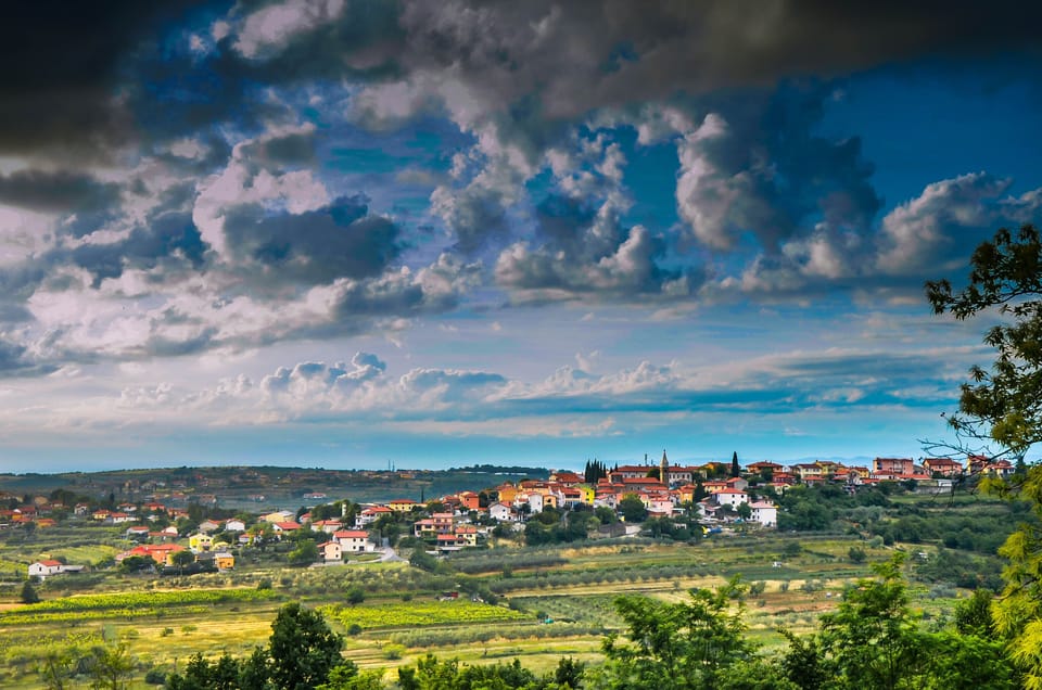 Vineyard