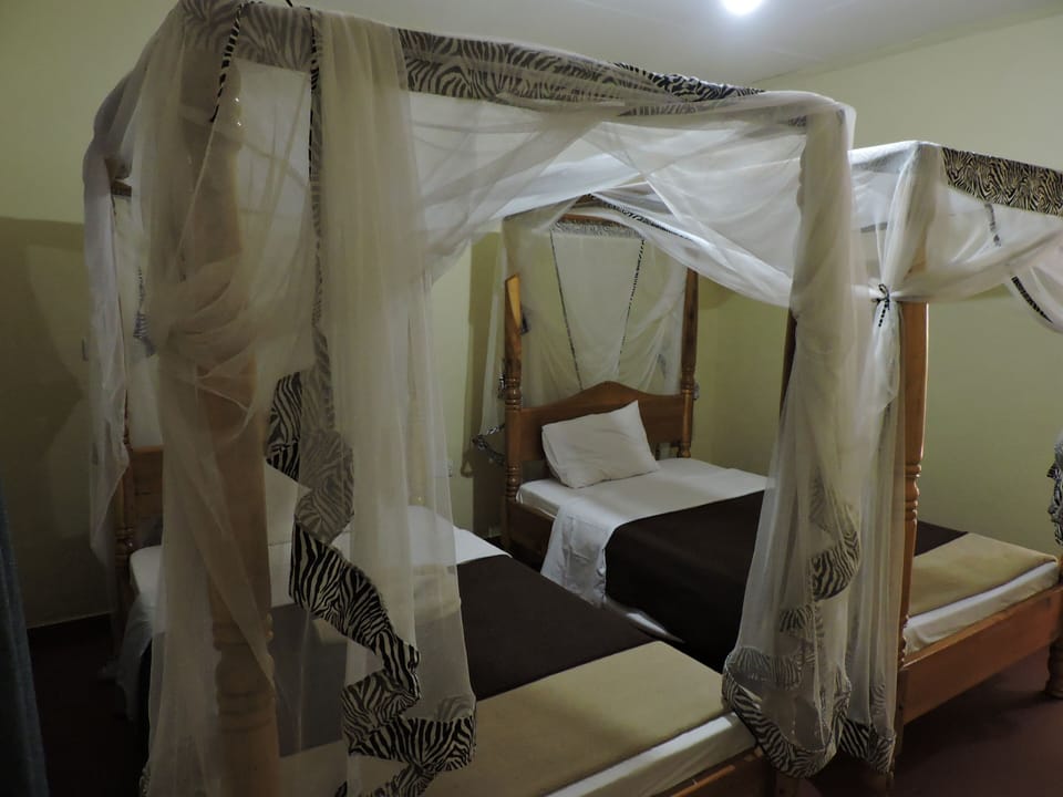 Basic Twin Room | Desk, laptop workspace, blackout drapes, iron/ironing board