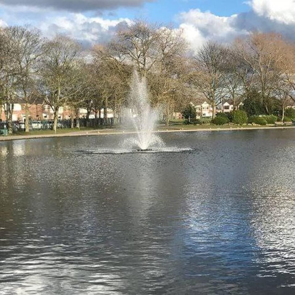 House | Miscellaneous