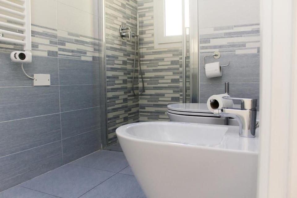 Double or Twin Room | Bathroom | Shower, hair dryer, towels, soap