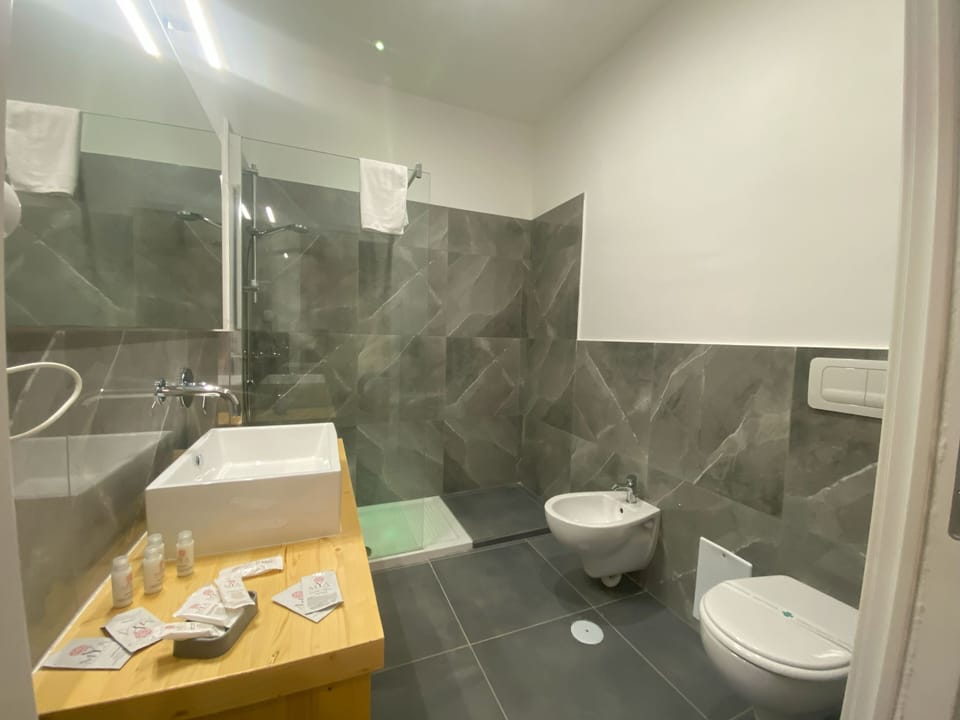 Deluxe Room | Bathroom | Shower, free toiletries, hair dryer, bidet