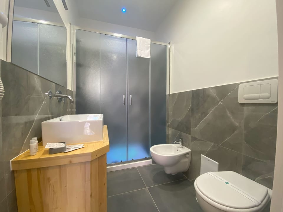 Standard Room | Bathroom | Shower, free toiletries, hair dryer, bidet