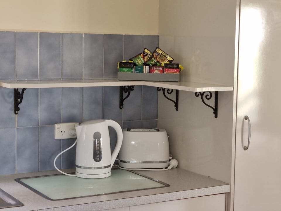 Full-size fridge, microwave, oven, stovetop