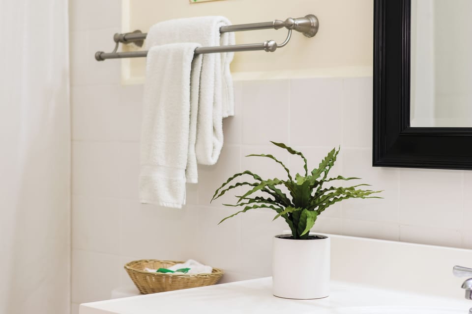 Hair dryer, towels, soap, shampoo
