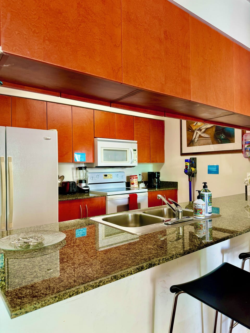 Luxury Condo | Private kitchen | Full-size fridge, microwave, oven, stovetop