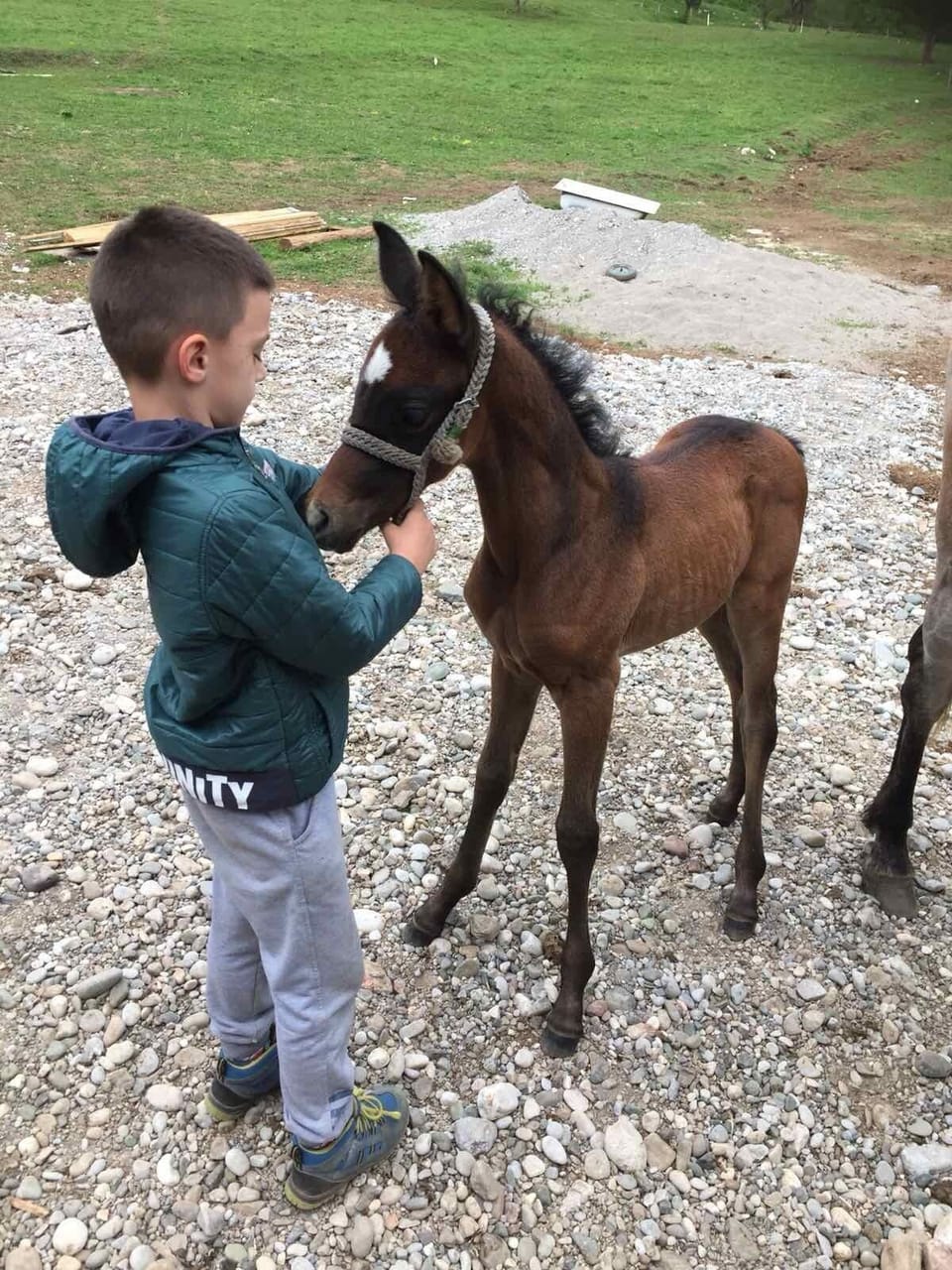Horseback riding