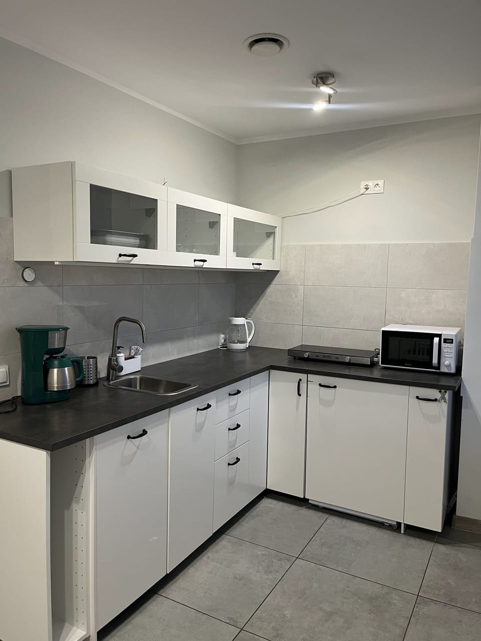 Standard Apartment, 1 Bedroom, Ensuite, Lake View | Private kitchen | Mini-fridge, stovetop, dishwasher, electric kettle