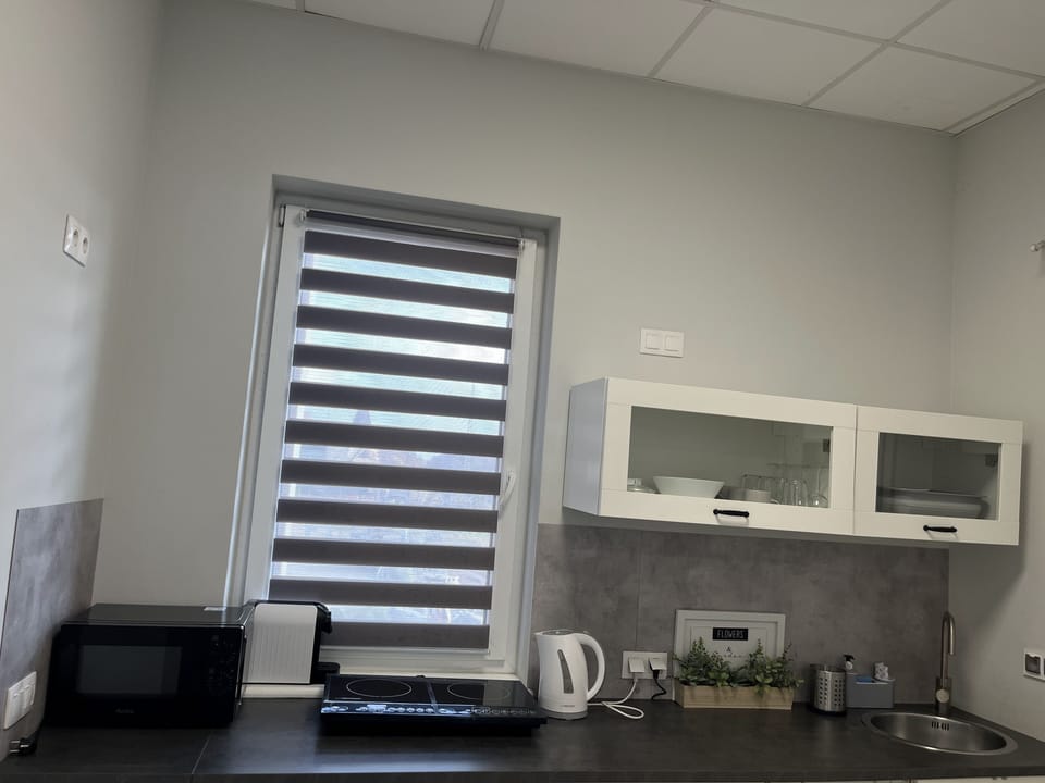 Standard Apartment, 1 Bedroom, Ensuite, Lake View | Private kitchen | Mini-fridge, stovetop, dishwasher, electric kettle