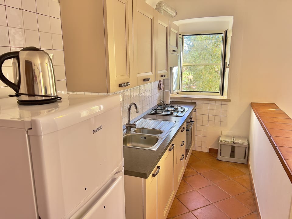 Deluxe Condo, Garden Area | Private kitchen | Full-size fridge, oven, stovetop, dishwasher