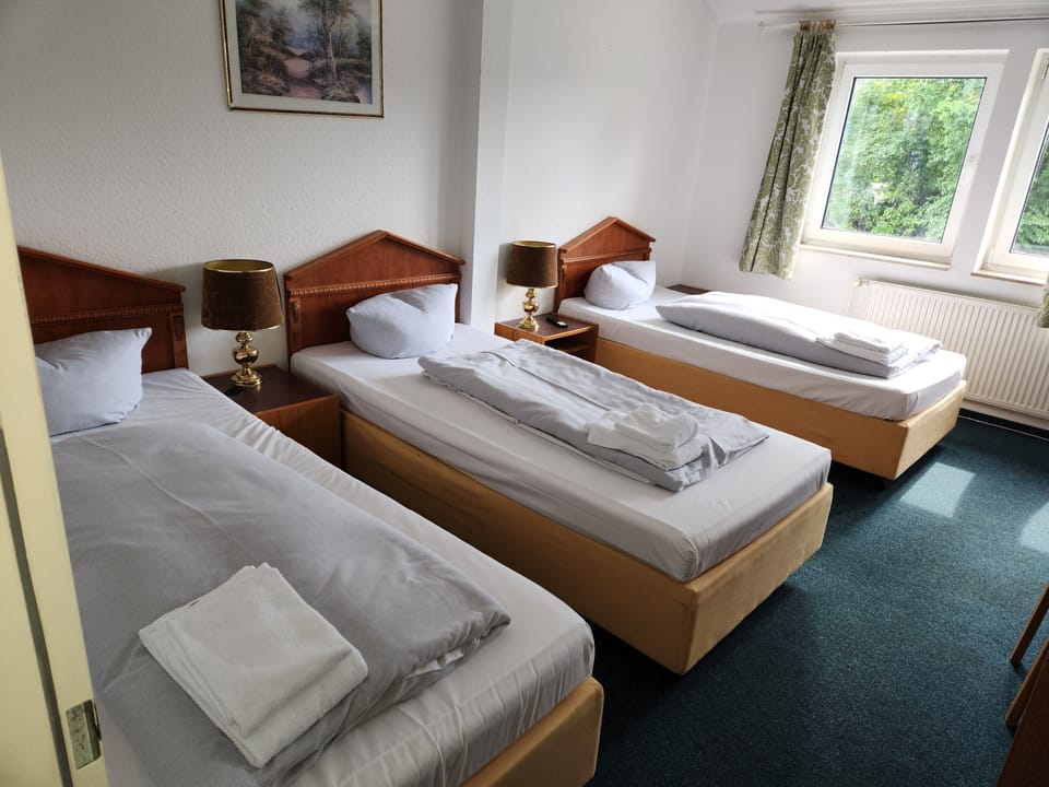 Comfort Triple Room | Hypo-allergenic bedding, desk, free WiFi