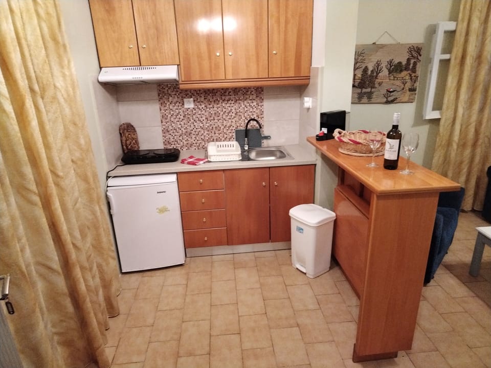 Exclusive Room, 2 Twin Beds | Private kitchen | Espresso maker, fridge, stovetop, electric kettle