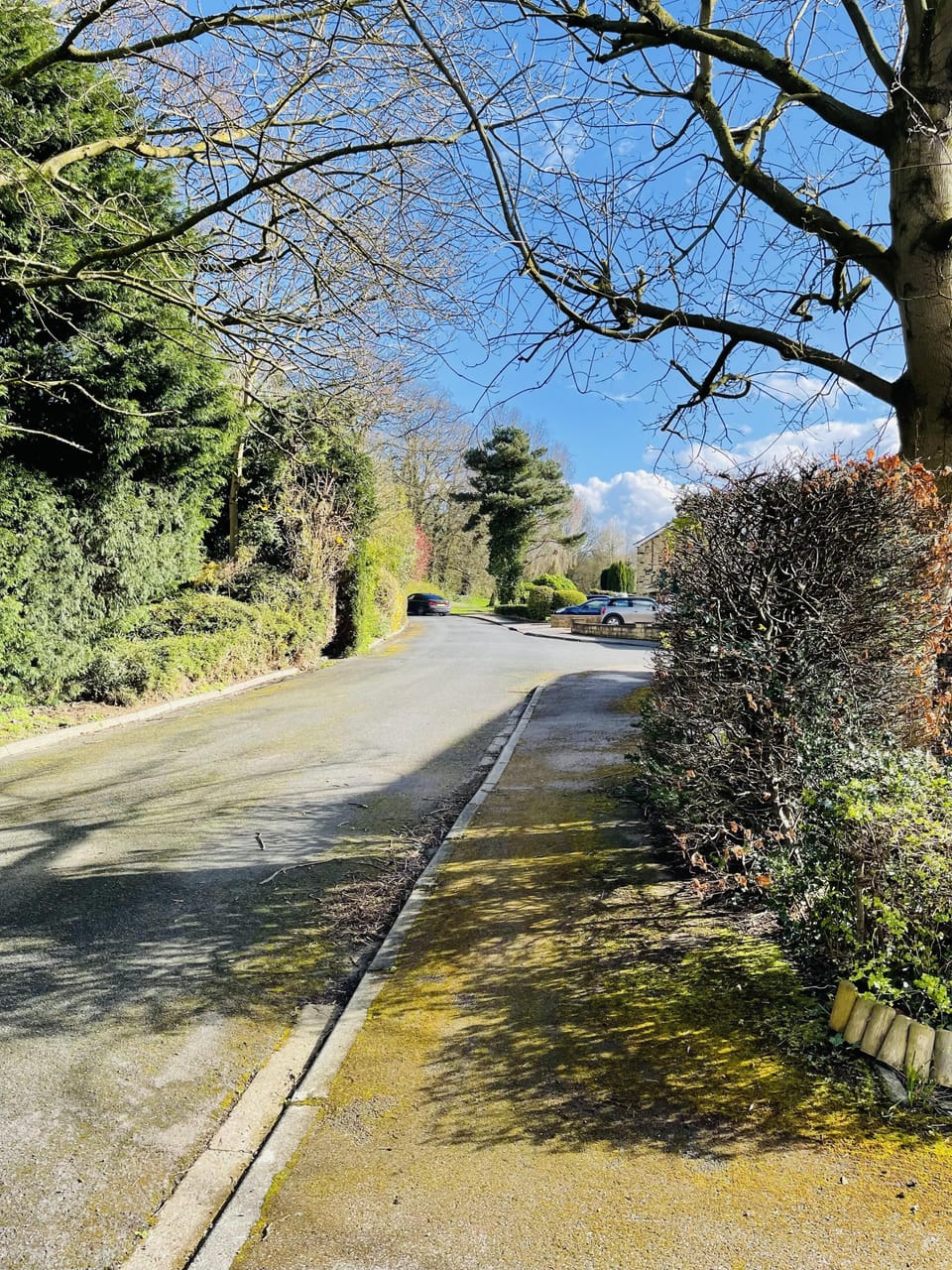 House | Property grounds