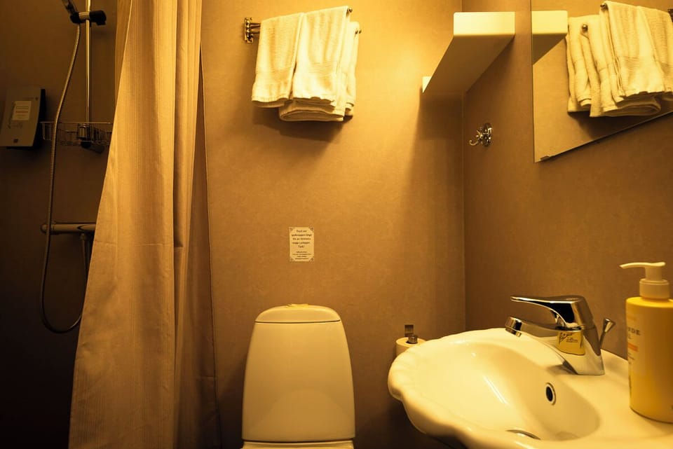Double Room | Bathroom | Shower, hair dryer, towels