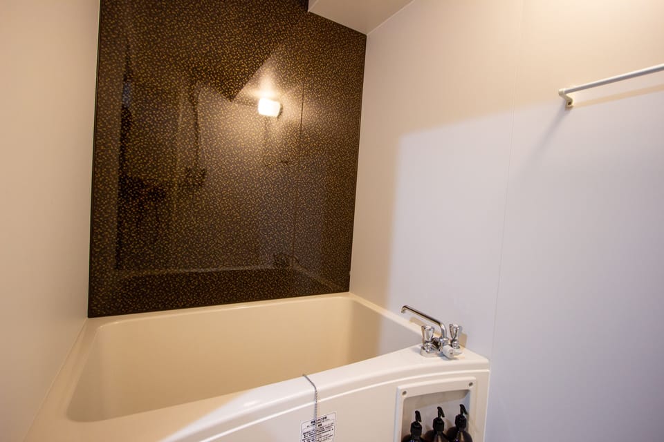 Free toiletries, hair dryer, slippers, bidet