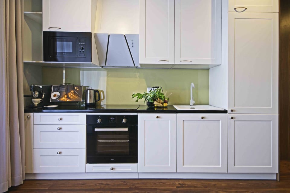Apartment | Private kitchenette | Fridge, microwave, oven, stovetop