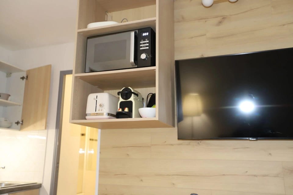 Standard Apartment | Private kitchen | Mini-fridge, microwave, stovetop, dishwasher