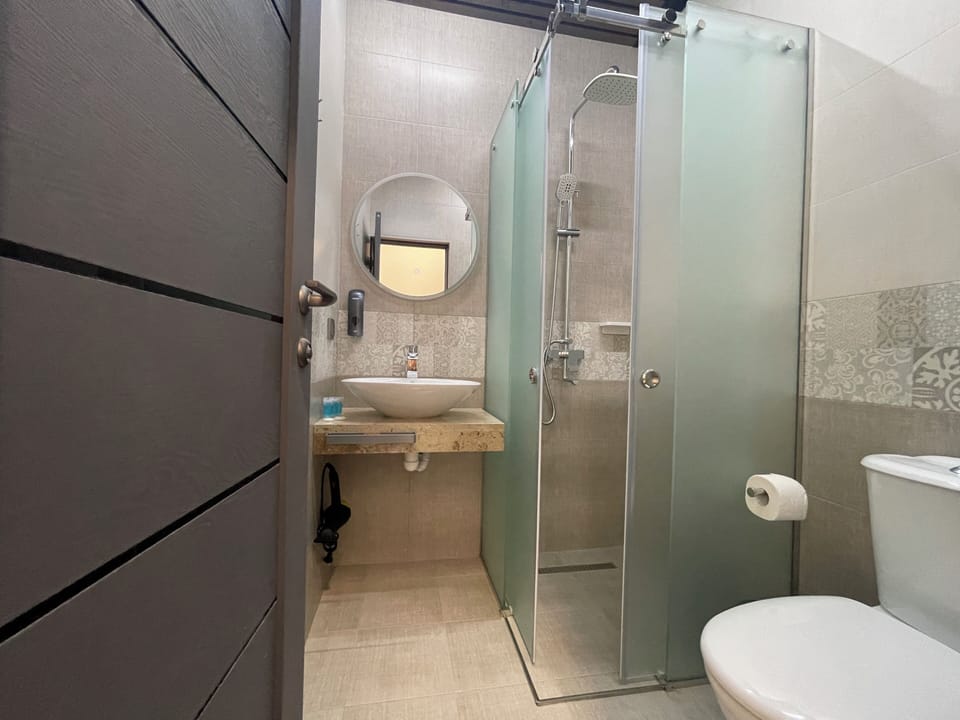 Deluxe Double or Twin Room | Bathroom | Hair dryer, slippers, soap, shampoo