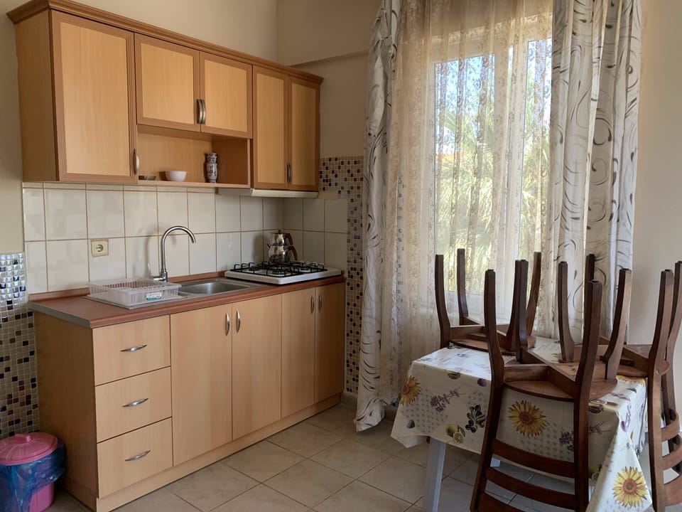 Deluxe Apartment | Private kitchen | Full-size fridge, oven, stovetop, dishwasher