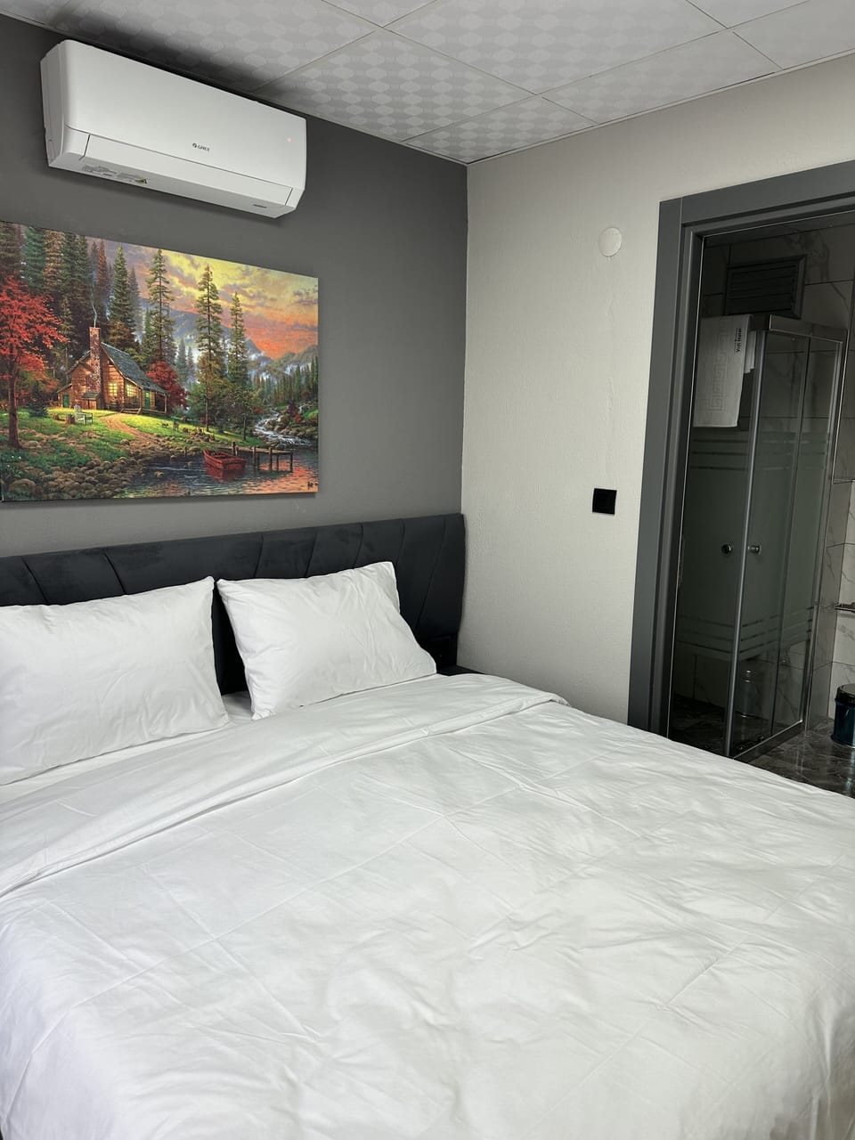 Iron/ironing board, free WiFi, bed sheets