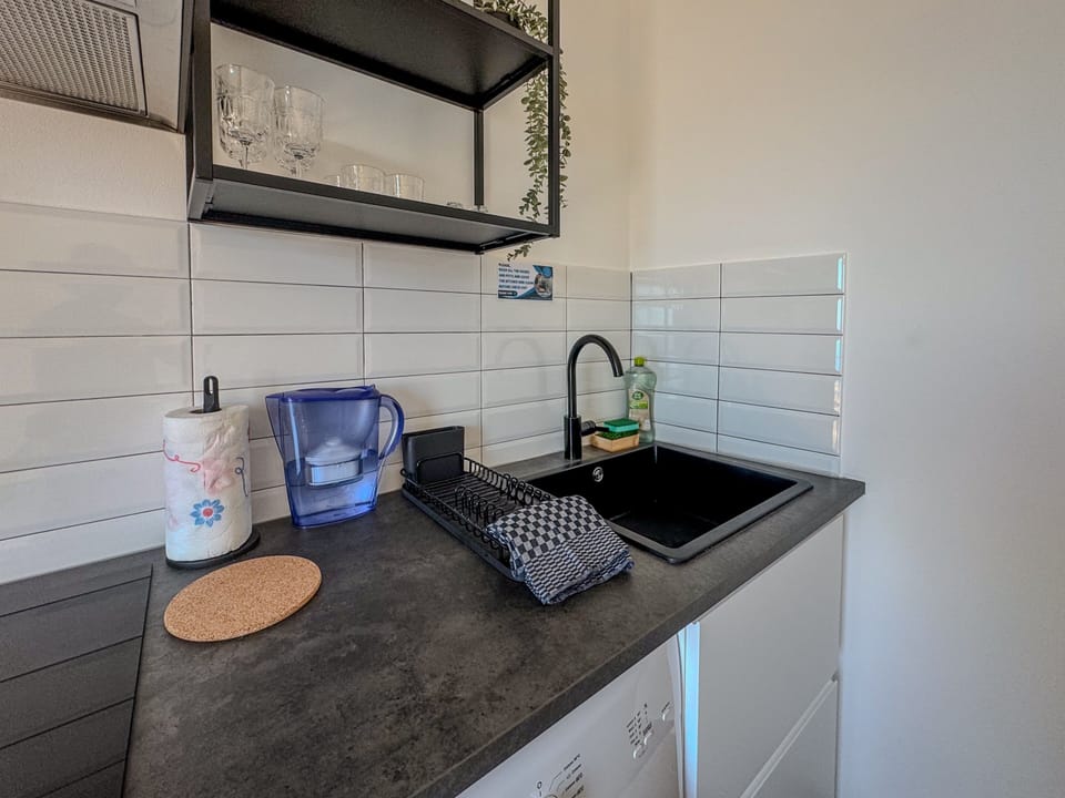 Apartment, 1 Bedroom, Terrace | Private kitchen | Fridge, oven, stovetop, espresso maker