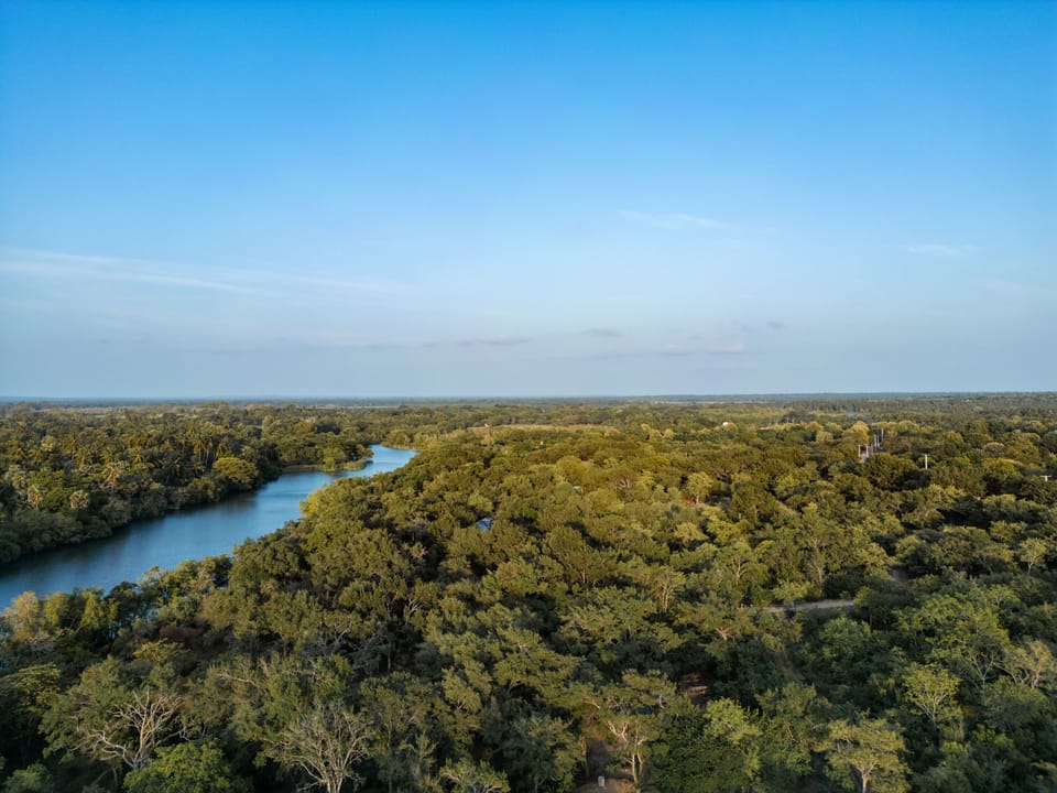 Land view from property