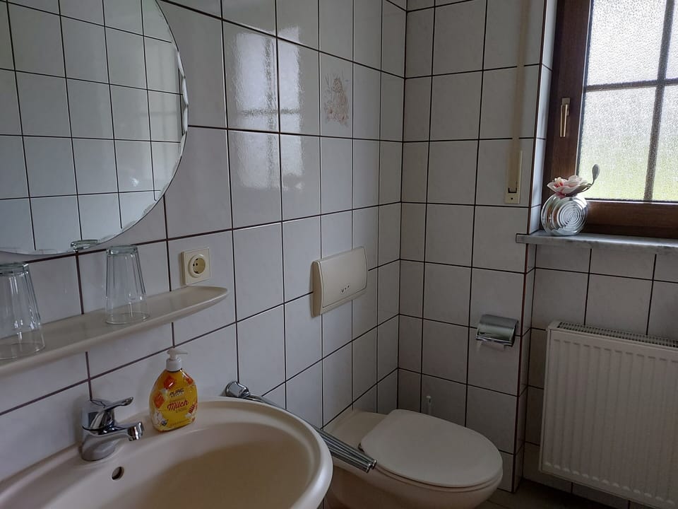 Double Room | Bathroom | Shower, hair dryer, towels