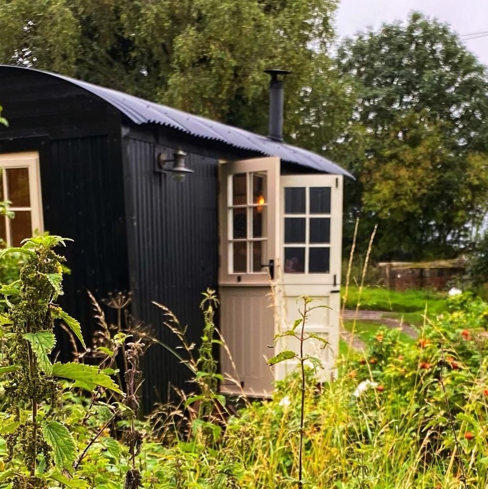 Cabin | Exterior