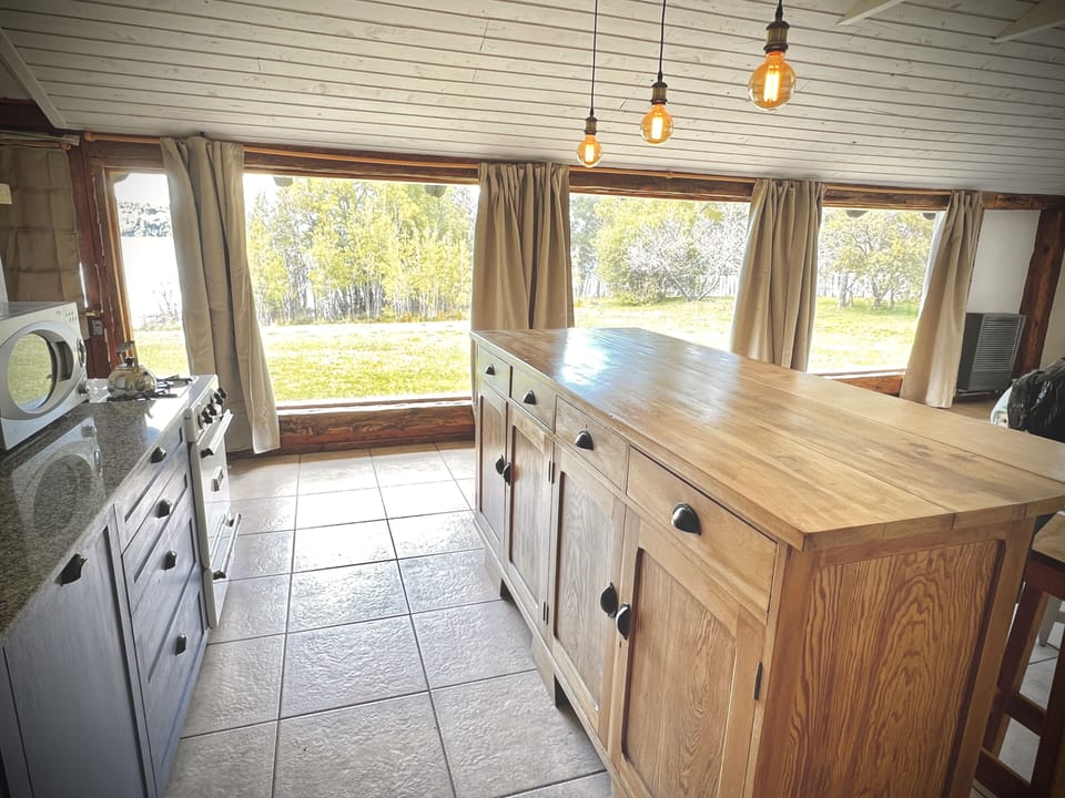 Panoramic Cabin, 1 Bedroom, Lake View, Lakeside (H58) | Private kitchen | Full-size fridge, microwave, oven, stovetop
