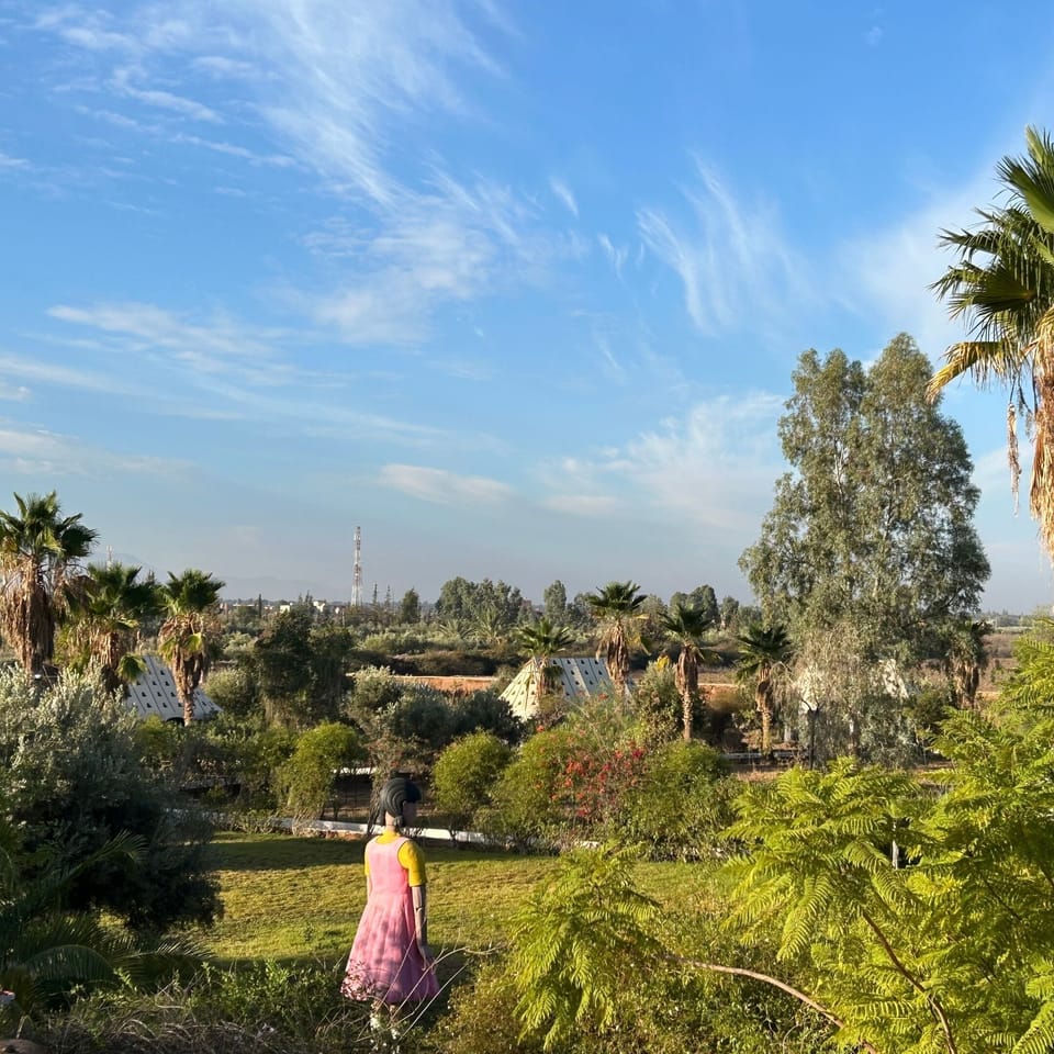Garden