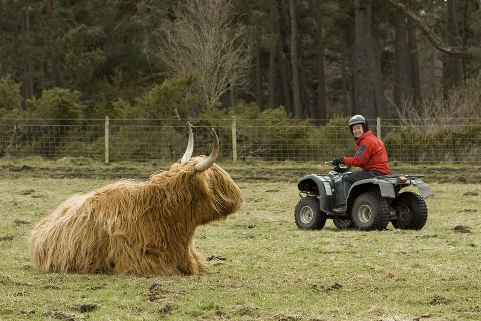 Children's activities