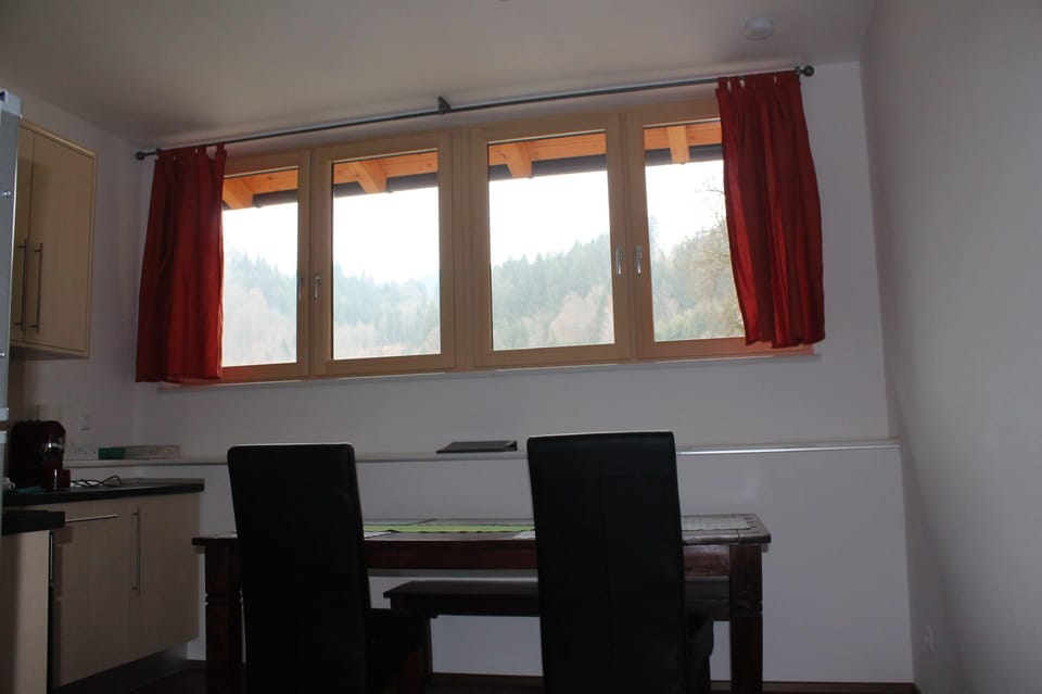 Comfort Apartment, 2 Bedrooms, Kitchen | Private kitchen