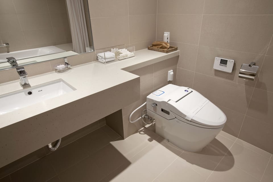 Deluxe Double Room | Bathroom | Hair dryer, towels