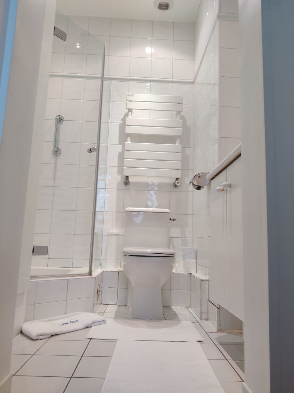 Eiffel Tower Oasis | Bathroom | Hair dryer, towels, soap, shampoo
